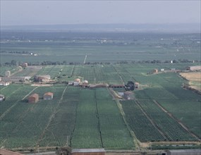 VISTA PANORAMICA DE LA CUENCA-PLANTACIONES DE TABACO-
PROVINCIA, CUENCA DEL TIETAR
CACERES