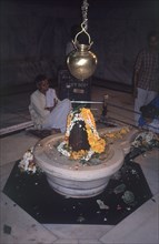 TEMPLO-DIVINIDAD CUBIERTA DE OFRENDAS FLORALES
BENARES, UNIVERSIDAD
INDIA