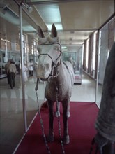 MUSEO-CABALLO DE BARRO COCIDO Y CORREAJE DE BRONCE-S III A J.C.
XIAN, MAUSOLEO QIN SHI