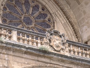 EXTERIOR-DETALLE DEL ROSETON DE LA PORTADA-GOTICO S XIII
BURGO DE OSMA, CATEDRAL
SORIA

This