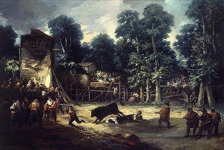 Lucas Velázquez, Passes avec la cape dans un bois