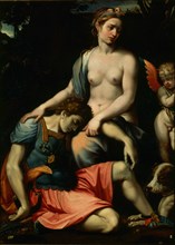 Anonymus, Venus and Adonis