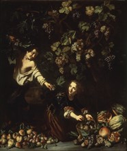 Cerquozzi, Children picking fruits