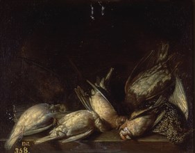Vollenhoven, Oiseaux morts