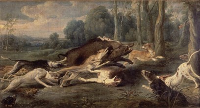 Snyders, Harassed Wild Boar