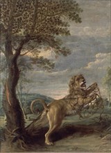 Snyders, The fable of the Lion and the Rat
