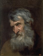 Van Dyck, Tête d'un ancien