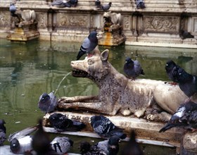 FUENTE GAIA-DET ESCULTURA DE LOBA RODEADA DE PALOMAS
SIENA, EXTERIOR
ITALIA

This image is not