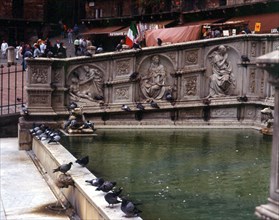 FUENTE GAIA CON PALOMAS ALREDEROR EN EL CENTRO DE LA PLAZA DEL CAMPO
SIENA,