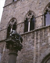 ESCULTURA DE LA LOBA CAPITOLINA CON ROMULO Y REMO
SIENA, EXTERIOR
ITALIA

This image is not