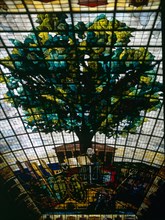 ECHEVARRIA ANTONIO
INTERIOR-SALA CON VIDRIERA EN EL TECHO CON EL ARBOL DE GUERNICA
GUERNICA, CASA