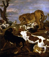 VOS PAUL DE 1596/1678
JAURIA DE PERROS ATACANDO  A UN TIGRE
MADRID, COLECCION DUQUES DE