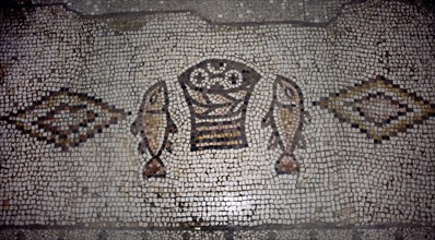 INTERIOR-DET MOSAICO QUE CONMEMORA EL MILAGRO DE LOS PANES Y PECES-BIZANTINO
TABGHA, IGLESIA DE