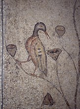 INTERIOR-DET MOSAICO BIZANTINO-PATOS
TABGHA, IGLESIA DE LOS PANES Y LOS PECES
ISRAEL

This