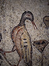 INTERIOR-DET MOSAICO BIZANTINO-PATO
TABGHA, IGLESIA DE LOS PANES Y LOS PECES
ISRAEL

This image