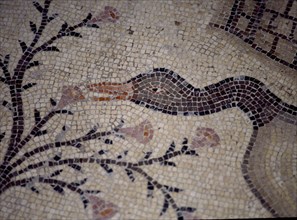 INTERIOR-DET MOSAICO BIZANTINO-PATO
TABGHA, IGLESIA DE LOS PANES Y LOS PECES
ISRAEL

This image