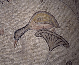 INTERIOR-DET MOSAICO BIZANTINO-PATO SOBRE UNA PLANTA
TABGHA, IGLESIA DE LOS PANES Y LOS