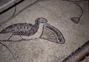 INTERIOR-DET MOSAICO BIZANTINO-PATO
TABGHA, IGLESIA DE LOS PANES Y LOS PECES
ISRAEL

This image