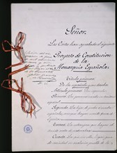 CONSTITUCION DE 1876-1ªPAGINA-TEXTO MANUSCRITO DEL PROYECTO DE CONSTITUCION
MADRID, CONGRESO DE