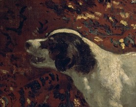 Velázquez, Joseph's tunic (detail of the dog and the carpet)