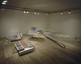 MORA PEDRO 1961-
SINGULAR HOUSING IV - 2000 - MEDIDAS VARIABLES - ALUMINIO Y GOMA
MADRID, GALERIA