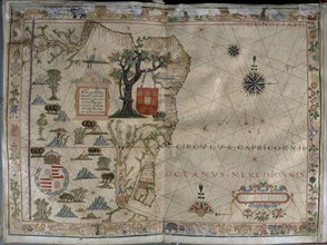 VAZ DOURADO FERNAO 1520/80
MAPA DE BRASIL - ATLAS PORTULANO - 1568
MADRID, COLECCION DUQUES DE