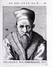 POLIDORO DA CARAVAGGIO O POLIDORO CALDARA (1492/1543) - PINTOR ITALIANO
MADRID, COLECCION