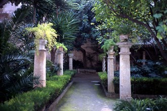 JARDIN
PALMA, BAÑOS ARABES
MALLORCA

This image is not downloadable. Contact us for the high