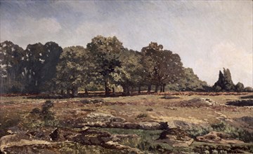 Sisley, Lisière de la forêt de Fontainebleau