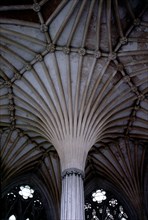 INTERIOR-VISTA DE LA BOVEDA EN ABANICO-GOTICO INGLES
WELLS, CATEDRAL
INGLATERRA

This image is