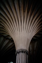 INTERIOR-VISTA DE LA BOVEDA EN ABANICO-GOTICO INGLES
WELLS, CATEDRAL
INGLATERRA