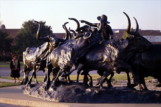 ESCULTURA DE VAQUERO CON GANADO
FORT WORTH-TEXAS, EXTERIOR
EEUU