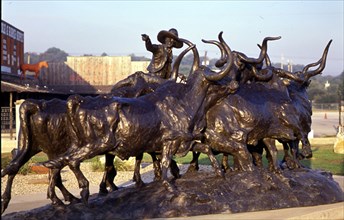 ESCULTURA DE VAQUERO CON GANADO
FORT WORTH-TEXAS, EXTERIOR
EEUU