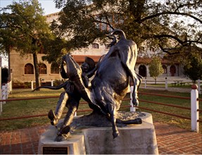 ESCULTURA DE VAQUERO CON GANADO
FORT WORTH-TEXAS, EXTERIOR
EEUU