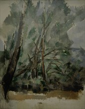 Cézanne, Arbres Sur La Route du Tholonet