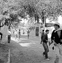 ENCIERRO EN ARGANDA DEL REY - CORREDORES CITANDO AL NOVILLO EN LA CALLE REAL - AÑOS 60 - ByN