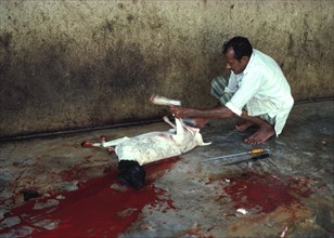 Sacrifice d'une chèvre à l'occasion d'Eid al Adha, la Fête du Sacrifice (rite du Hajj)
