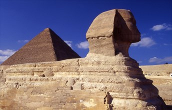 Le Sphinx sur le plateau de Gizeh, en Egypte, vue sur la pyramide de Khéops