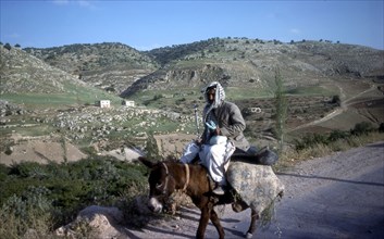 Road to Jerusalem from Jericho, Israel