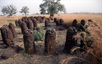 Cercles de menhirs préhistoriques à Wassau, en Gambie (Afrique)
