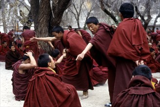 Débat animé au monastère de Sera, au Tibet, séance de l'après-midi