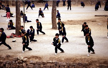 Etudiants en arts martiaux au temple Shaolin, berceau du bouddhisme zen