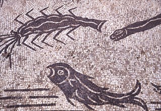 Roman mosaic, Sea creatures