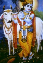 Krishna and sacred cow