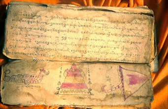 Sacred Buddhist scriptures known as the pali canon