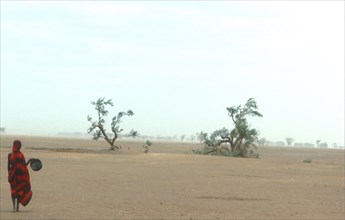 Somali woman looking for water in the desert of southern Ethiopia