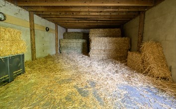 Straw reserve for an equestrian centre