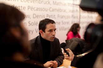 Benoit Hamon, 2012