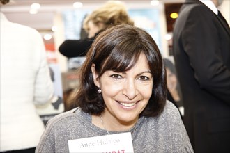 Anne Hidalgo, 2013