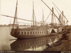 Dehabbieh au Caire (Egypte)